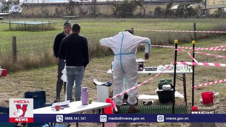 Virus cúm gia cầm tiếp tục lan rộng tại Australia