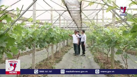 Sơn La phát triển nông nghiệp theo hướng chuyên canh 