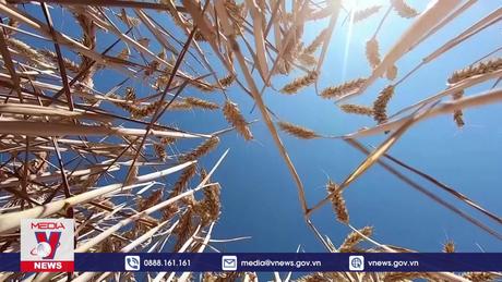 Mỹ-EU đối thoại về khí hậu và an ninh