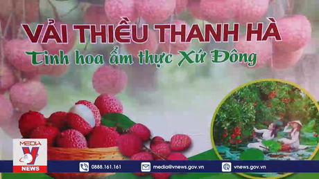 Thúc đẩy tiêu thụ nội địa giải quyết áp lực mùa vụ