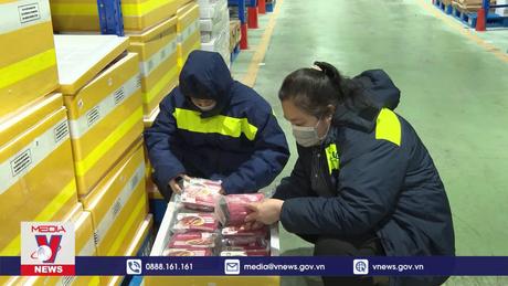 Kết nối hàng hóa Việt Nam vào chuỗi cung ứng toàn cầu