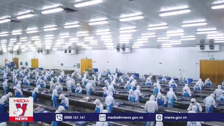 Quy định mới về quản lý nhập khẩu hàng hóa tân trang