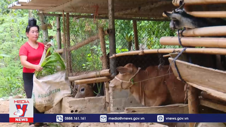 Đổi thay của cộng đồng dân tộc ít người La Ha