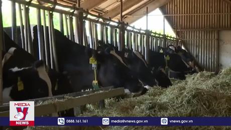 Thế giới đối mặt nguy cơ đại dịch mới