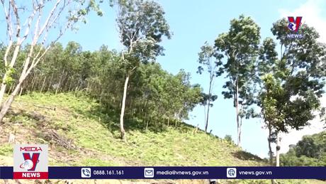 Cao điểm phòng chống cháy rừng ở Thanh Hóa 