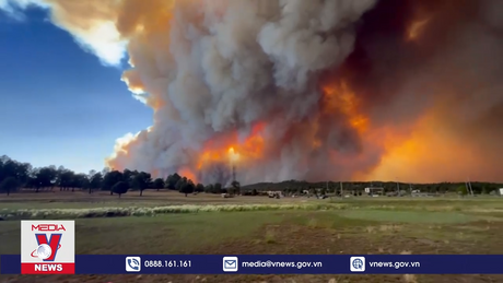 Hy Lạp và Mỹ đối phó cháy rừng diện rộng