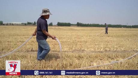 Hạn hán khắc nghiệt ở Trung Quốc