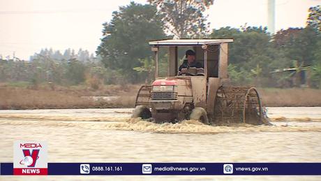 Khuyến cáo nông dân bám sát lịch thời vụ, gieo cấy trước 30/6