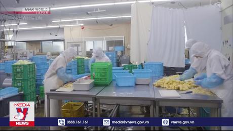 Nhật Bản thiệt hại hàng chục tỷ USD do lãng phí thực phẩm