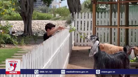 Xu hướng ẩm thực bền vững