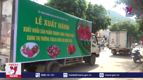 Sơn La xuất khẩu sản phẩm thanh long ruột đỏ sang thị trường Italia