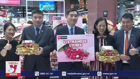 Làm phong phú thêm hoa quả Việt Nam tại Thái Lan