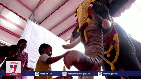 Sử dụng voi robot trong nghi lễ ở Ấn Độ