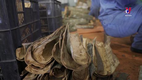 Việt Nam - Góc nhìn từ thế giới: Cuộc đua ESG tại Việt nam