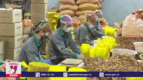 Gia hạn thông tư 02: gỡ khó cho doanh nghiệp