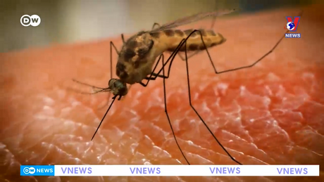 Tạp chí toàn cầu số 968 ngày 24/6/2024