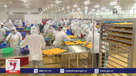 Xuất khẩu rau quả tăng mạnh nửa đầu năm