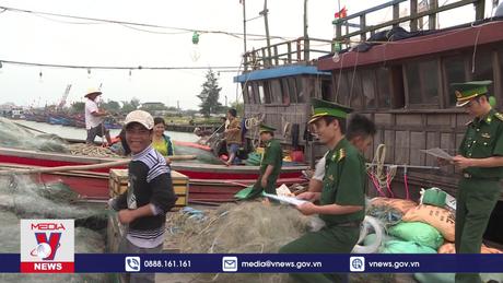 Để gỡ thẻ vàng IUU, cần quản lý được đội tàu