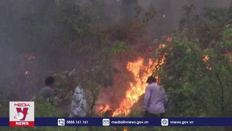 Số vụ cháy rừng thảm khốc tăng nhanh