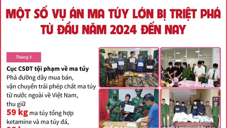 Một số vụ án ma túy lớn bị triệt phá từ đầu năm 2024 đến nay