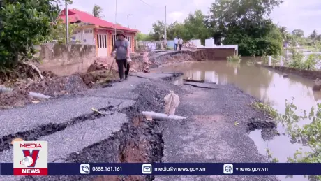 Sạt lở nghiêm trọng trên sông Ông Vẽ, Tiền Giang