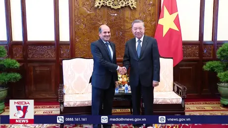 Chủ tịch nước Tô Lâm tiếp Đại sứ Ấn Độ             