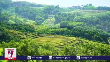 Vẻ đẹp ruộng bậc thang Miền Đồi ở Hòa Bình