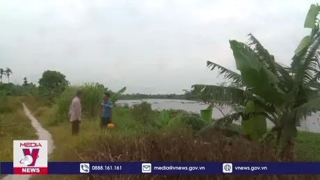 Sạt lở gây nguy cơ mất an toàn đê ở Hải Dương