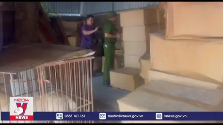 30 tấn dầu gội, dầu xả, dưỡng tóc nghi là hàng giả