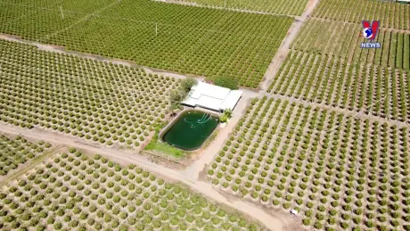 Nhật trình kinh tế ngày 28/6/2024