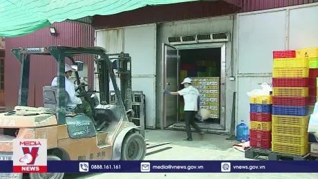 Sản xuất nông nghiệp 6 tháng đạt nhiều kết quả khả quan