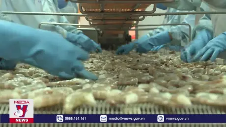 Xuất siêu nông lâm thủy sản tăng trên 62%