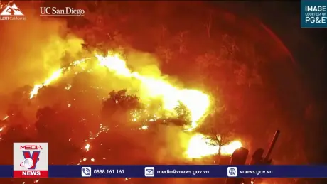 Số vụ cháy rừng trên toàn cầu tăng gấp đôi trong 20 năm