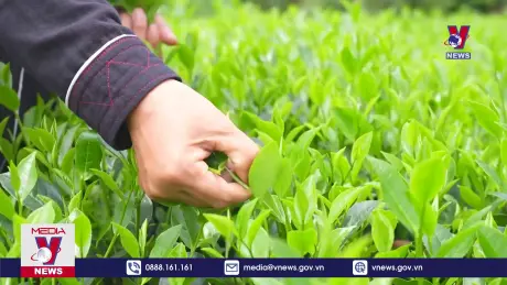 Bản tin thời sự 8h ngày 30/6/2024