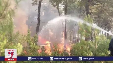 Hy Lạp chống chọi với cháy rừng