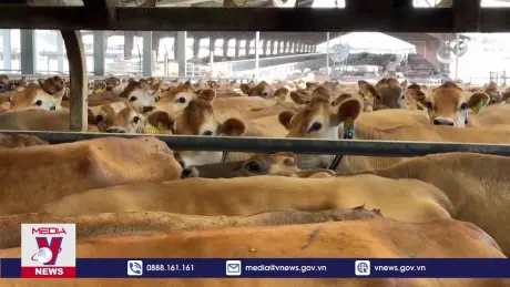 Phát hiện đặc tính mới khiến virus H5N1 dễ lây cho người