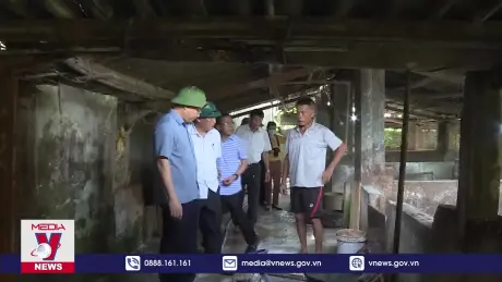 Quảng Ninh cấp bách phòng chống dịch tả lợn châu Phi