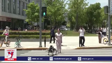 Chó robot dẫn đường cho người khiếm thị