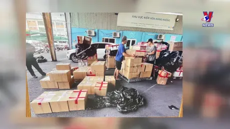 Đường dây nóng 389 ngày 1/7/2024