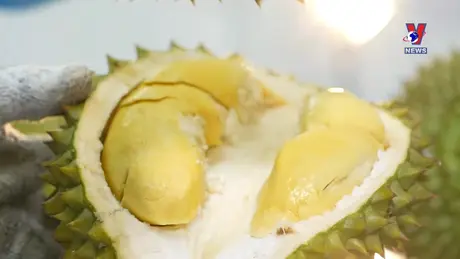 Nhật trình kinh tế ngày 1/7/2024