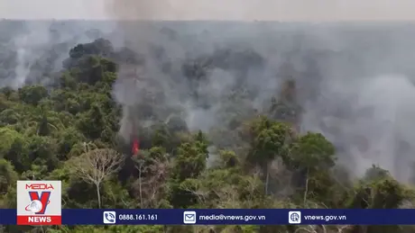 Rừng Amazon trải qua 6 tháng cháy rừng tồi tệ nhất trong 20 năm