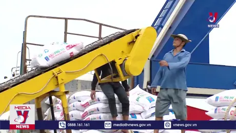 Bản tin thời sự 8h ngày 2/7/2024