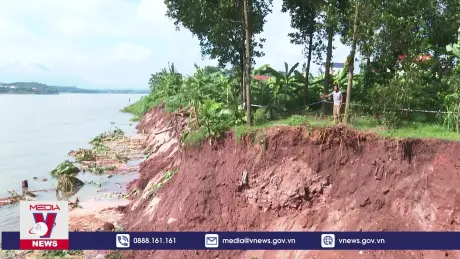 Xử lý khẩn cấp sự cố sạt lở bờ sông Đà tại Phú Thọ