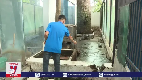 Gian nan cứu hộ động vật hoang dã