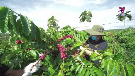 Nhật trình kinh tế ngày 02/7/2024