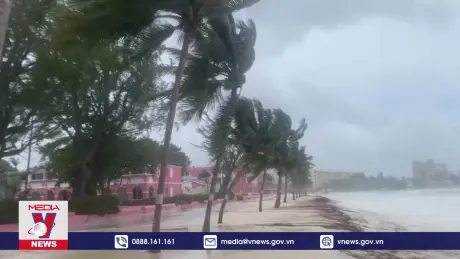 Siêu bão Beryl mạnh lên cấp 5