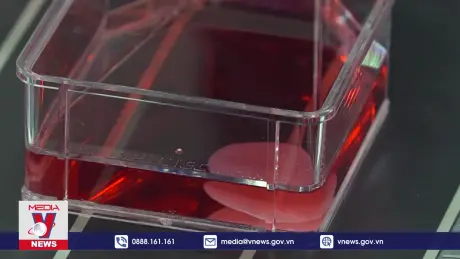 Nhật Bản giới thiệu mô hình “trái tim sống” đầu tiên trên thế giới