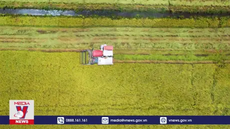 Động lực bứt phá tăng trưởng 6 tháng cuối năm