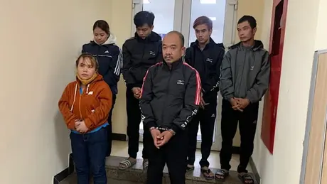 Công an Hà Nội triệt phá đường dây mua bán cần sa, thu giữ hơn 700kg