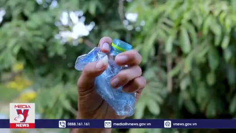 Quy định mới nhằm giảm thiểu rác thải nhựa của Châu Âu